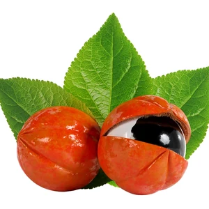 SodaFit Guarana